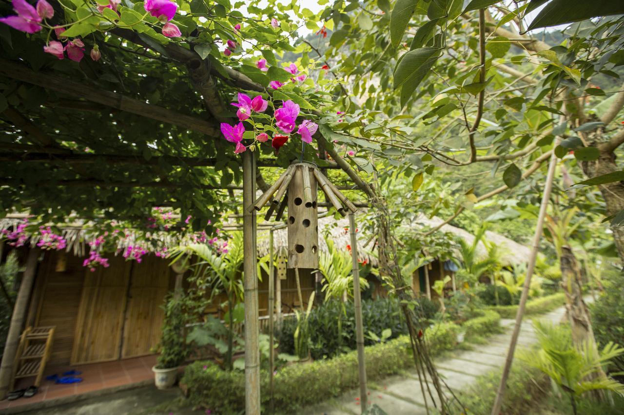 ตัม คอค ไรซ์ ฟิลด์ รีสอร์ต Hotel นิญบิ่ญ ภายนอก รูปภาพ